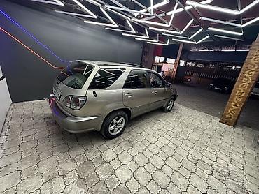 Lexus: Lexus RX: 2001 г., 3 л, Автомат, Бензин, Кроссовер — 11