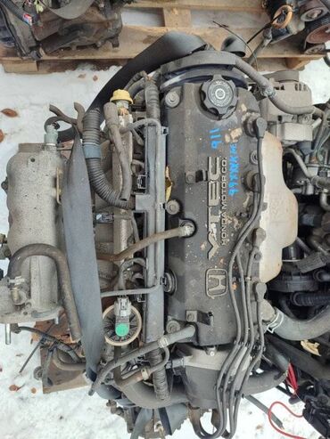 хонда аккорд торнео бишкек: Двигатель HONDA Accord CL3 2.0 1999 (б/у)