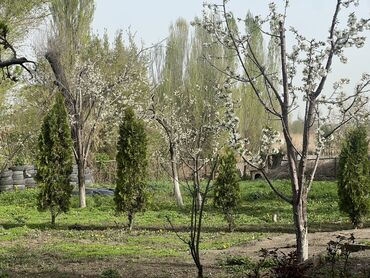 Продажа домов: Дом, 200 м², 13 комнат, Собственник, Косметический ремонт — 5