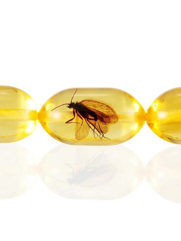 Təsbehlər: 🎄🎆🎁 Yeni il Endirimləri başladı!!! Bütün mallara 20% endirim!!! Yeni — 32