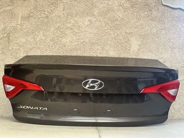 Digər kuzov detalları: Hyundai SONATA, 2016 il, İşlənmiş