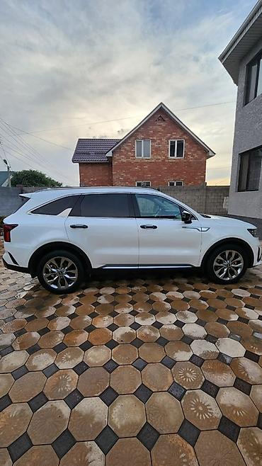 land rover discovery sport 2019: Kia Sorento: 2020 г., 2.2 л, Робот, Дизель, Кроссовер — 2