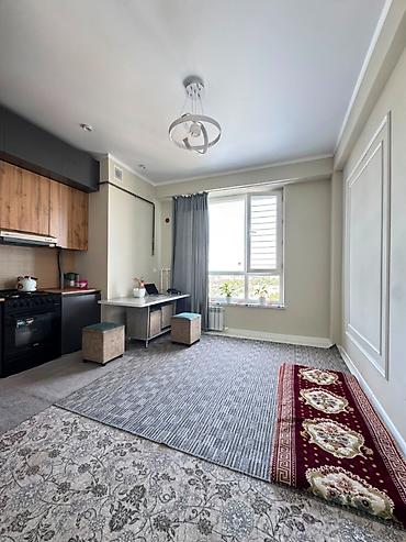 1 комната, 41 м², Пишпек Элитка, 13 этаж, Свежий ремонт