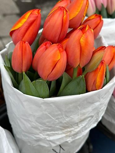Букеты из живых цветов: Тюльпаны срезанные — букетные сборки. - Варианты окраски: насыщенный — 13