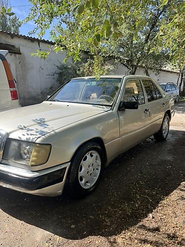 ассенизаторы купить: Mercedes-Benz W124: 1991 г., 3 л, Механика, Дизель, Седан — 6