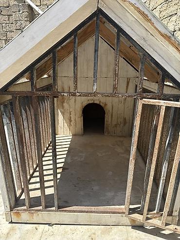 ağ itlər: Böyük ölçülü it evi və açıq volyer - Karkas: qalın taxta — 2