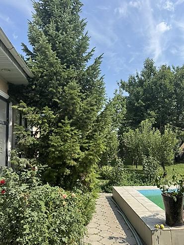 Продажа домов: Дом, 180 м², 7 комнат, Собственник at lalafo.kg — 22 Продажа домов: Дом, 180 м², 7 комнат, Собственник — 22