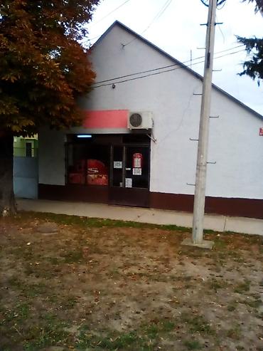 Kuće na prodaju: Poslovni prostor sa dvorištem i stambenim prostorom i bašton - — 2