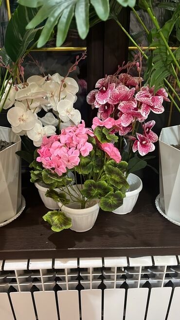 Декоративные цветы: Искусственные горшечные цветы - Яркие декоративные композиции в белых — 5