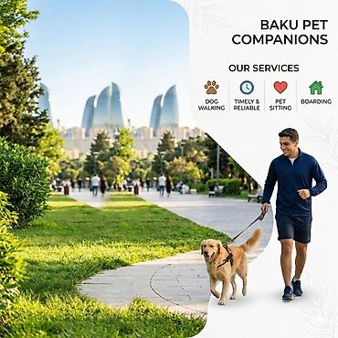 передержка животных в баку: Baku Pet Companions – ev heyvanları üçün peşəkar qayğı və gəzinti — 1