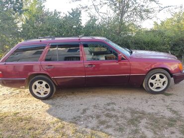 лупарик мерс 210: Mercedes-Benz E-Class: 1989 г., 3 л, Механика, Дизель, Универсал