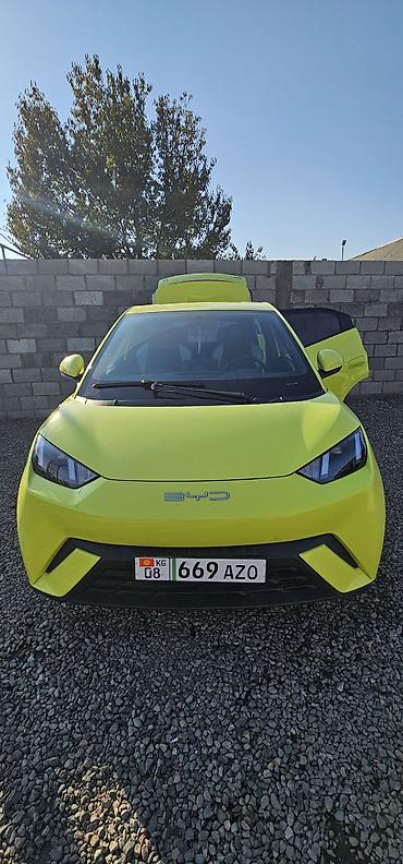 BYD: BYD Dolphin: 2023 г., Электромобиль, Хэтчбэк — 1