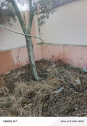 Su təchizatı: Başlıq: Su artezian quyuların Bakıda qazılması xidməti – Binə Atçılıq — 6