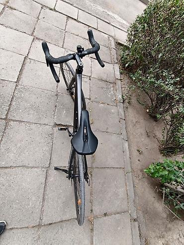 веластер: 🚴 Тип: шоссейный / endurance 🛞 Колёса: большие 700C, с высокими — 6
