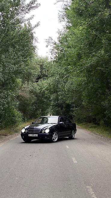 mercedes ml: Mercedes-Benz E-Class: 2000 г., 4.3 л, Автомат, Бензин, Седан — 3