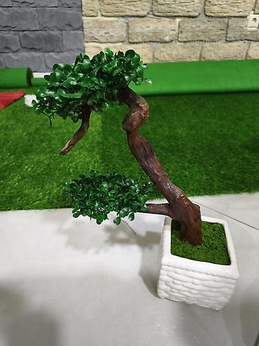 ev guleri: Dekorativ bonsai ağacı (süni) - Realistik görünüşlü, süni yarpaqlar — 1