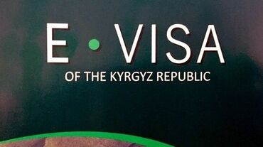 Другие услуги: Компьютерные услуги Помощь иностранцам при получении Кыргызской визы