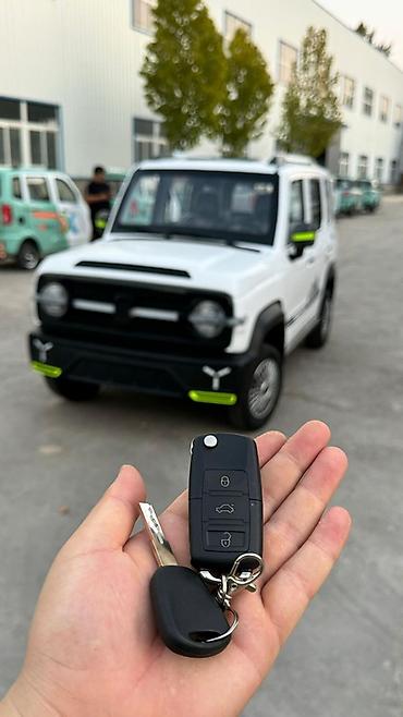 Microcar: Microcar : 2026 г., Электромобиль, Внедорожник — 7