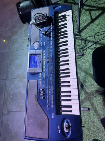 Gitaralar: Sintezator, Korg