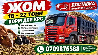 купить отруби в мешках: Жом — корм для КРС с доставкой по Чуйской области - Объем поставки — 1