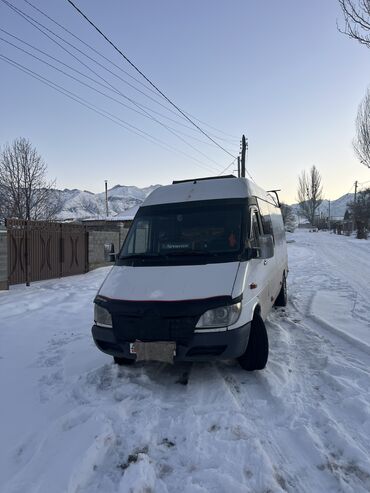 Mercedes-Benz: Mercedes-Benz Sprinter: 2001 г., 2.9 л, Механика, Дизель, Бус