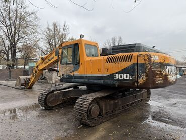 средний кузов: Экскаватор, Hyundai, 2009 г., Гусеничный