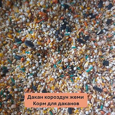 кукуруа: Корма для птиц и животных. Оптом и в розницу. У нас вы найдете все — 1