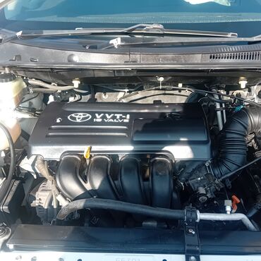 Toyota: Toyota WISH: 2003 г., 1.8 л, Автомат, Бензин, Универсал — 12