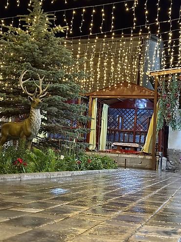 garden hotel: Гостевой дом с уютным двором и комнатами - Зеленый, ухоженный — 1