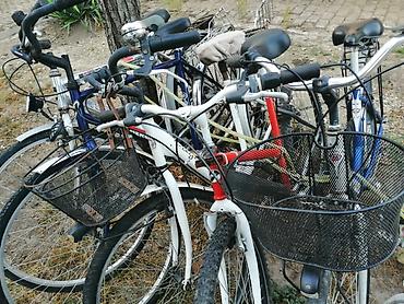 torbe b: Gradski bicikli – više komada - Tip: klasični gradski/treking bicikli — 2