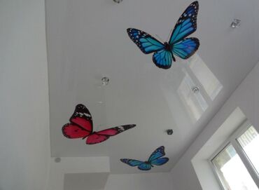 Натяжной потолок: Натяжной потолок 3D потолки, Глянцевое, Матовое — 10