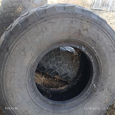 Шина Бел-1260 BELSHINA, радиальная, размер 425/85R21 (аналог — 1