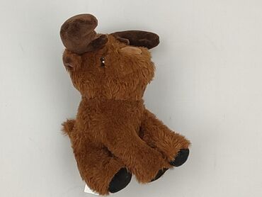 Mascot condition - Very good