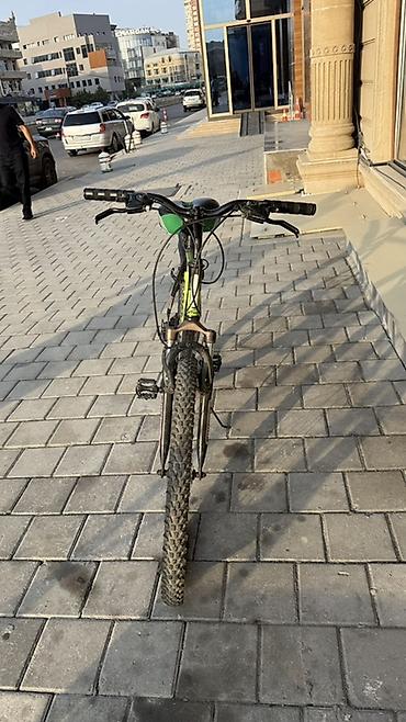 iwlenmiw velosiped: Dağ velosipedi – Navigator Zebra (26") Salam yeni kimidir az istifade — 2