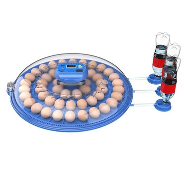 Oprema za kućne ljubimce: INKUBATOR Automatski nove generacije za 52 jaja 12v/220v — 2