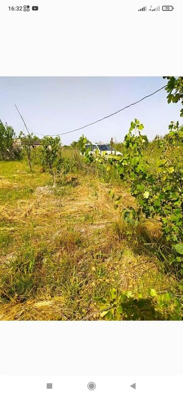 ağaçların dermanlanmasi v Azərbaycan | BAŞQA XIDMƏTLƏR: 10 sot, Tikinti, Maklerlər narahat etməsin, Kupça (Çıxarış)
