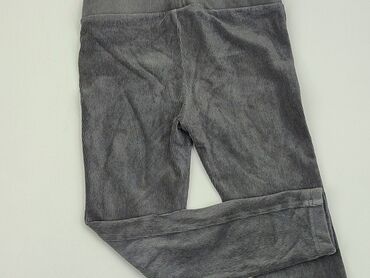 krótkie legginsy kolorowe: Legginsy dziecięce, Palomino, 116, stan - Dobry