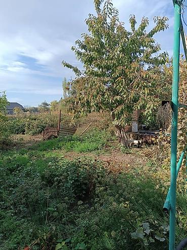 Продажа коттеджей и домов: В продаже Дом с огородом 18 соток . Для более детального обсуждения — 4