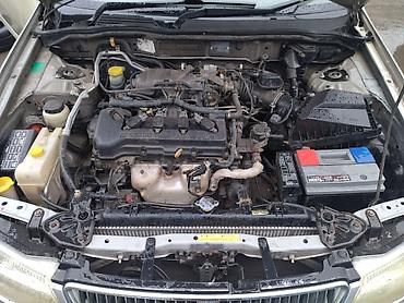 меняю на срв: Nissan Bluebird: 2002 г., 1.8 л, Автомат, Бензин, Седан — 7