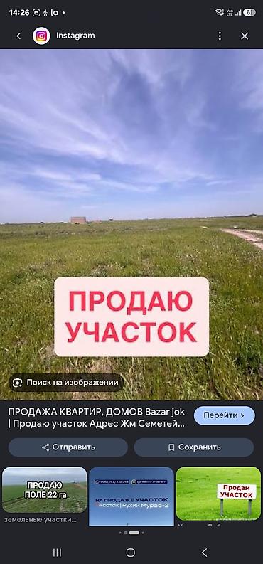 Жер тилкелери: 1 соток, Кызыл китеп — 2