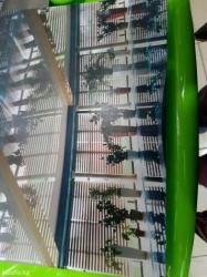 Жалюзи и рольшторы: #Жалюзи, #Жалюзи #Жалюзи # роол-шторы, # день и ночь на заказ — 5