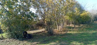 Torpaq sahələrinin satışı: 13 sot, Tikinti, Mülkiyyətçi, Kupça (Çıxarış) — 10