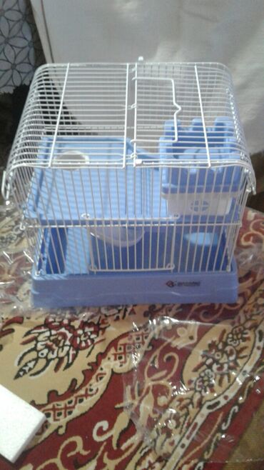 Qəfəslər: Xamyak ucun Qefes satilir qiyməti 25 azn bashqa qefeslerde var -da lalafo.az — 25 Qəfəslər: Xamyak ucun Qefes satilir qiyməti 25 azn bashqa qefeslerde var — 25