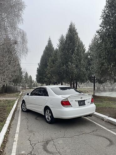 Toyota: Toyota Camry: 2004 г., 2.4 л, Автомат, Бензин, Седан — 3