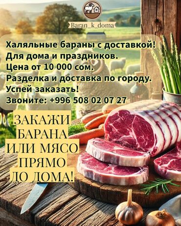 меринос овцы: Продаю | Овца (самка), Ягненок, Баран (самец) | Меринос, Эдильбаевская, Арашан | На забой | Племенные, Котные, Кастрированные