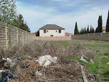 fatmayı: 8 sot, Maklerlər narahat etməsin, Kupça (Çıxarış) — 2