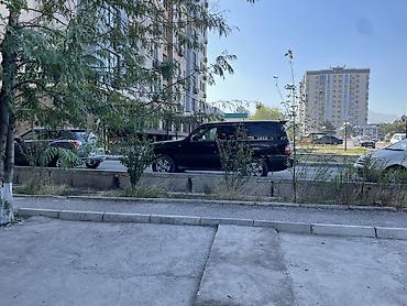 Помидоры: Овощной бизнес сатылат — 2