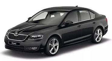 pragovi auto: LIMARIJA VRATA KRILA HAUBA ITD ZA ŠKODA OCTAVIA OD 2013. DO 2017. GOD — 1