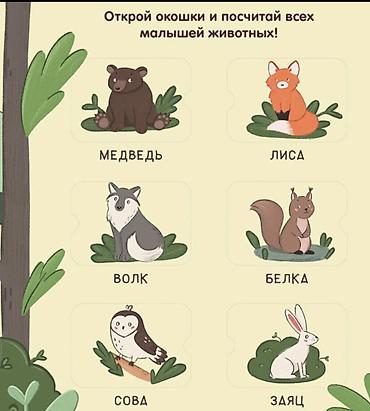clever: Книга для детей «Животные. Книжка с окошками» (издательство CLEVER) - — 3