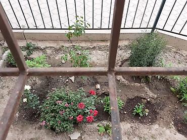 Продажа квартир: 1 комната, 42 м², Индивидуалка, 1 этаж, Косметический ремонт — 11